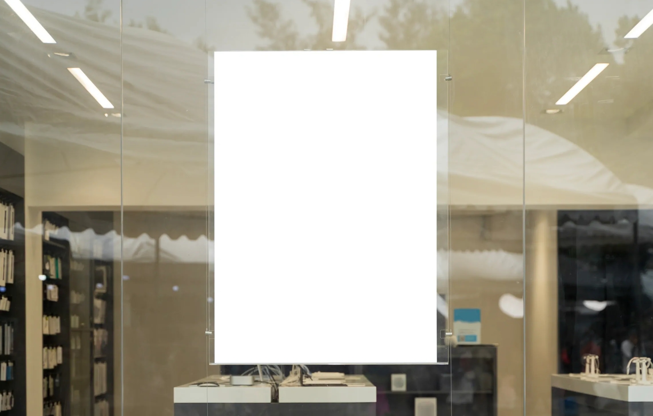 展板